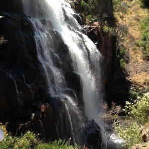 Meet your Posher, Margaret